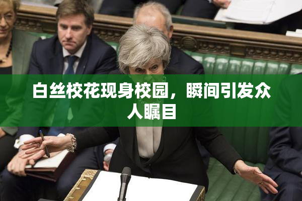 白丝校花现身校园，瞬间引发众人瞩目