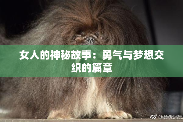 女人的神秘故事：勇气与梦想交织的篇章