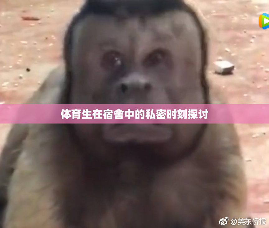 体育生在宿舍中的私密时刻探讨