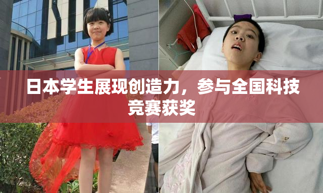 日本学生展现创造力，参与全国科技竞赛获奖
