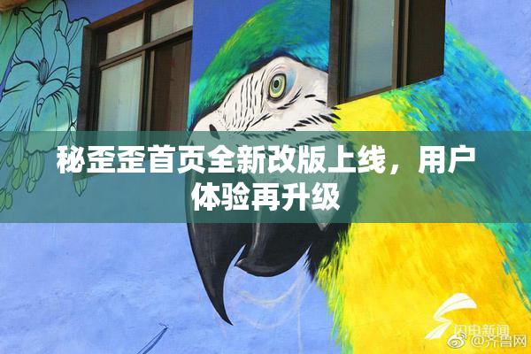 秘歪歪首页全新改版上线，用户体验再升级