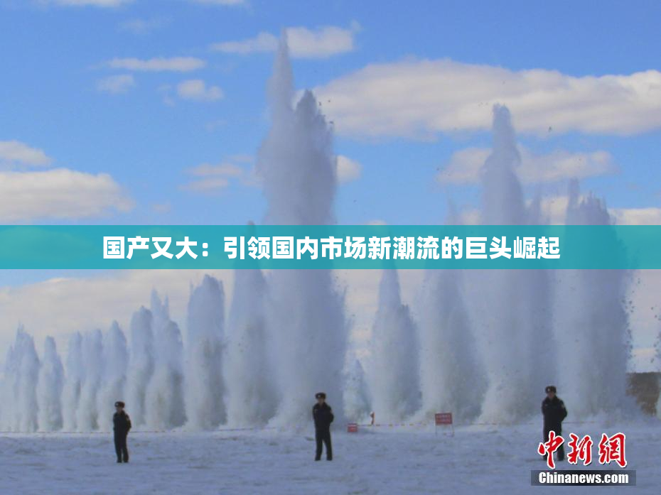 国产又大：引领国内市场新潮流的巨头崛起