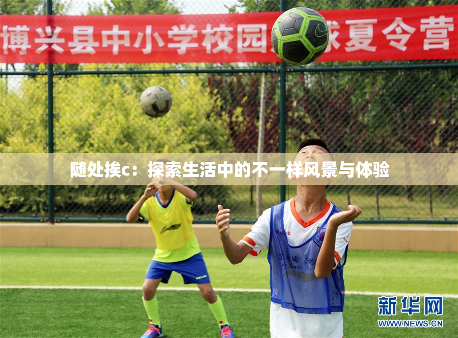 随处挨c：探索生活中的不一样风景与体验