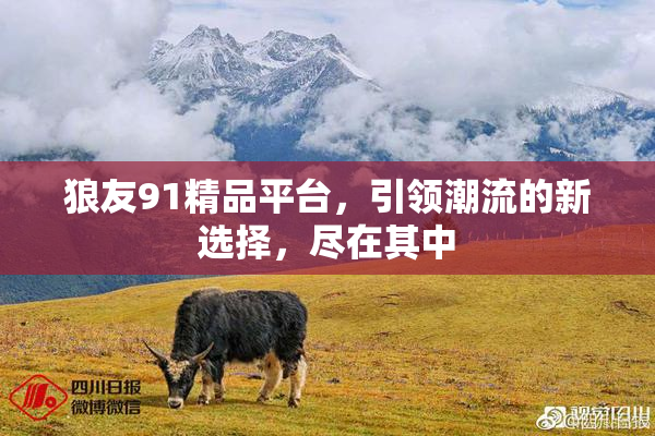 狼友91精品平台，引领潮流的新选择，尽在其中