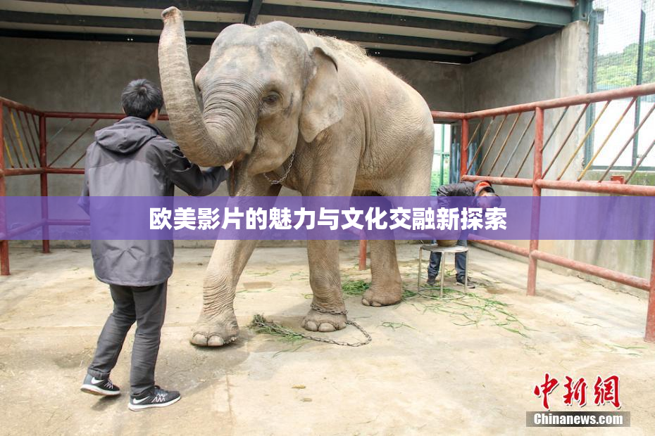 欧美影片的魅力与文化交融新探索