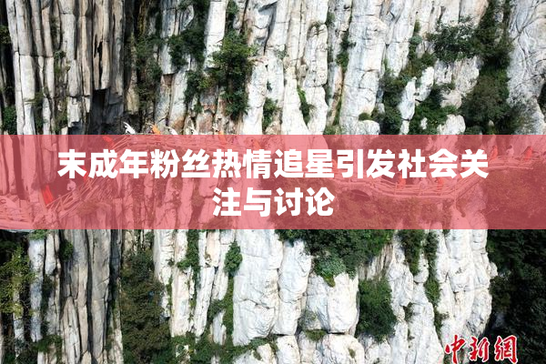 末成年粉丝热情追星引发社会关注与讨论