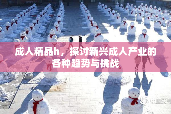 成人精品h，探讨新兴成人产业的各种趋势与挑战