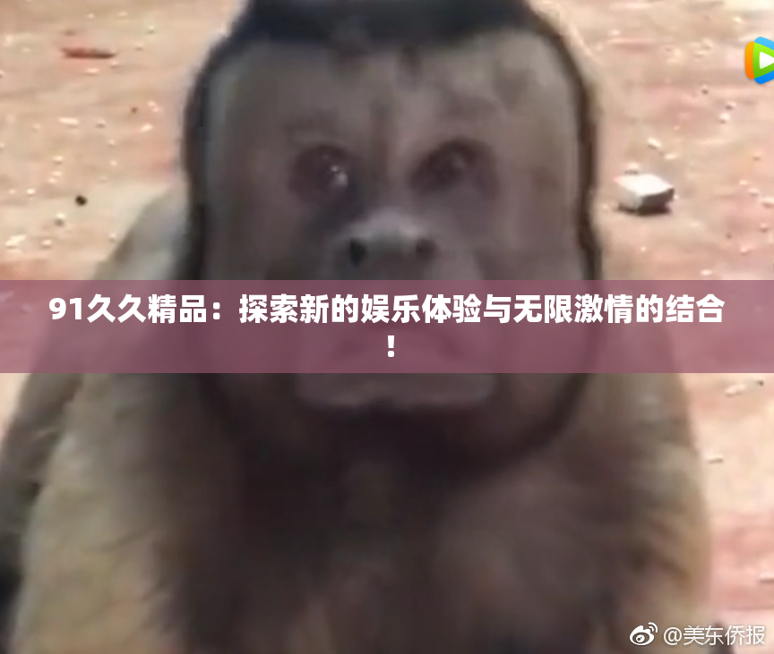 91久久精品：探索新的娱乐体验与无限激情的结合！