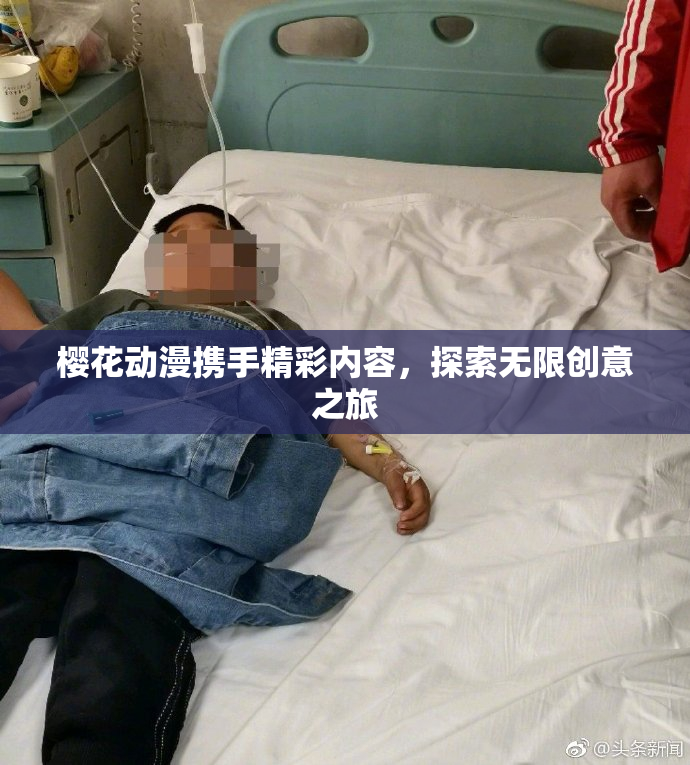 樱花动漫携手精彩内容，探索无限创意之旅