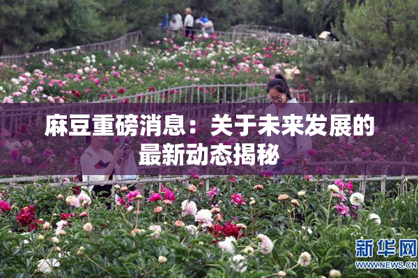 麻豆重磅消息：关于未来发展的最新动态揭秘