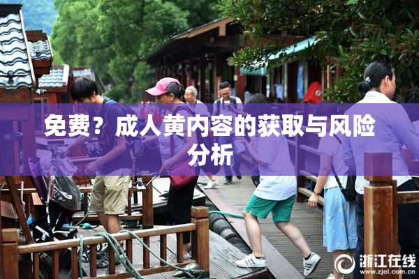 免费？成人黄内容的获取与风险分析