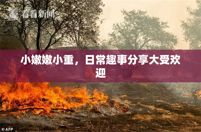 小嫩嫩小重，日常趣事分享大受欢迎