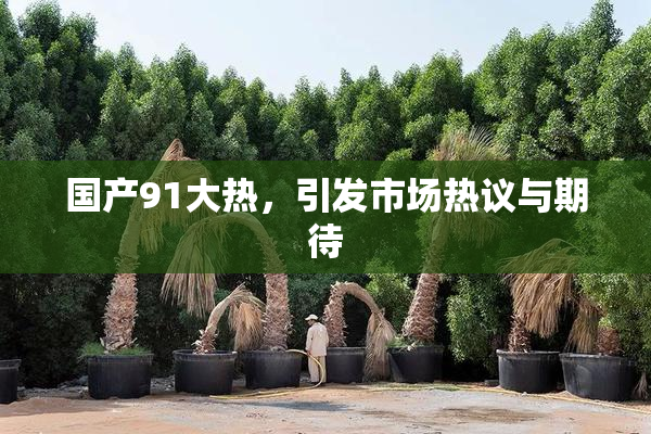 国产91大热，引发市场热议与期待