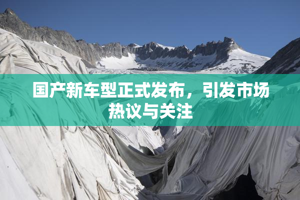 国产新车型正式发布，引发市场热议与关注