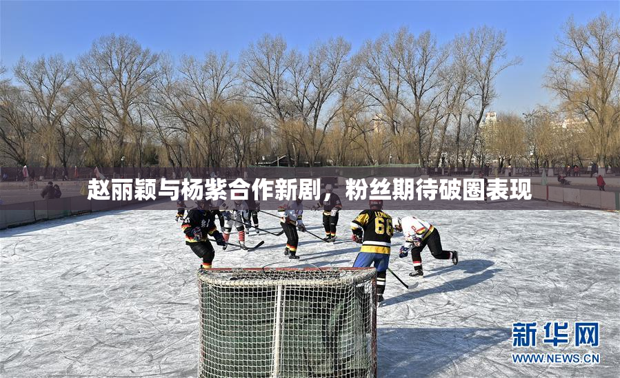 赵丽颖与杨紫合作新剧，粉丝期待破圈表现