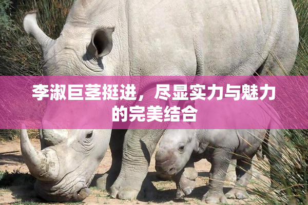 李淑巨茎挺进，尽显实力与魅力的完美结合