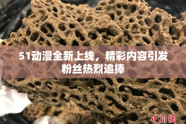 51动漫全新上线，精彩内容引发粉丝热烈追捧