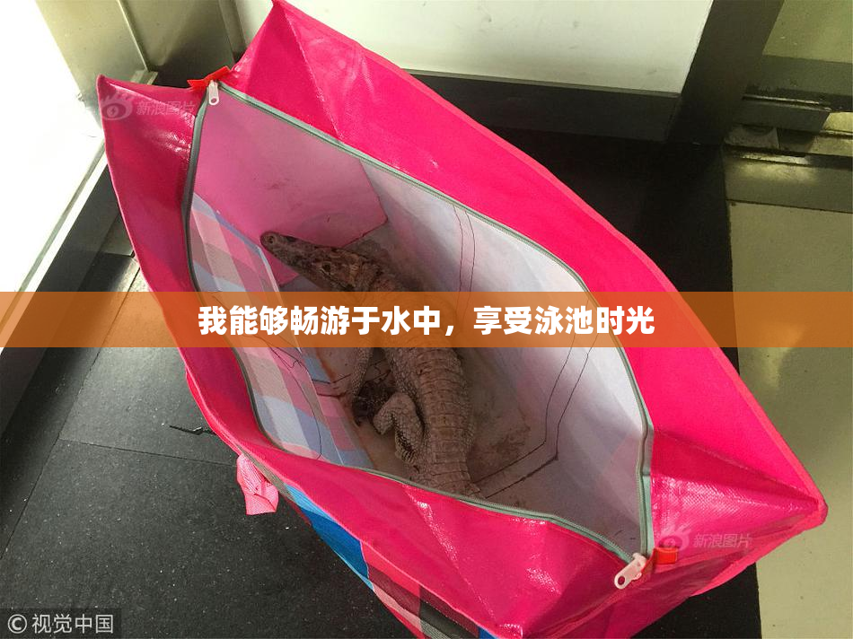我能够畅游于水中，享受泳池时光