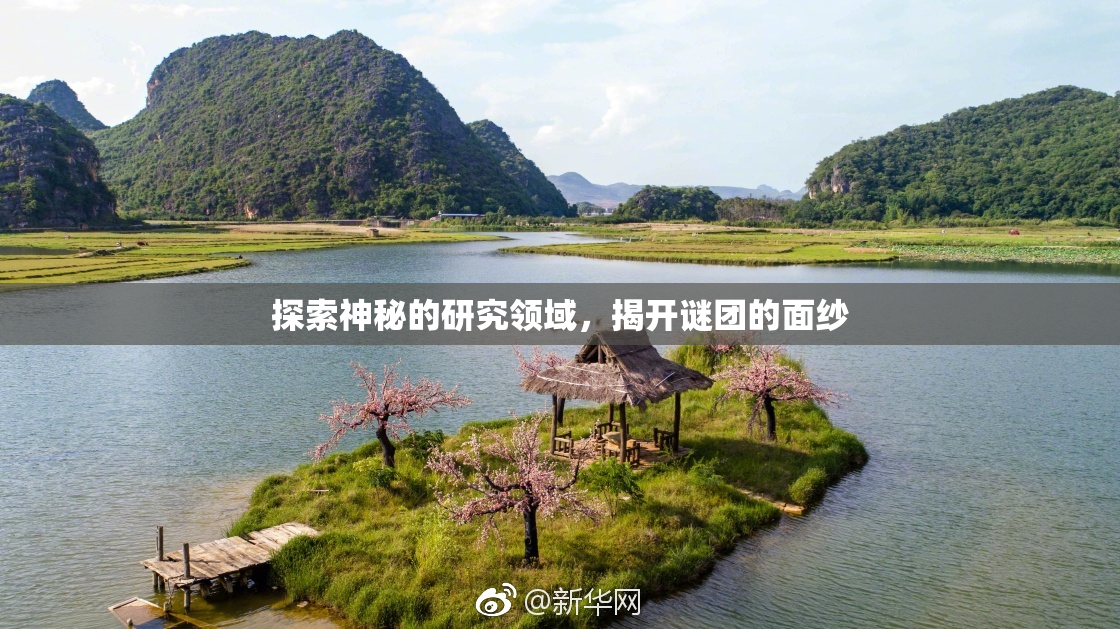 探索神秘的研究领域，揭开谜团的面纱