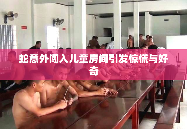 蛇意外闯入儿童房间引发惊慌与好奇