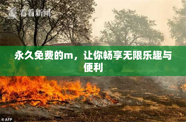 永久免费的m，让你畅享无限乐趣与便利