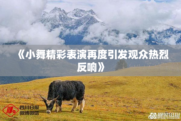 《小舞精彩表演再度引发观众热烈反响》