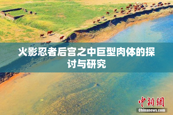 火影忍者后宫之中巨型肉体的探讨与研究