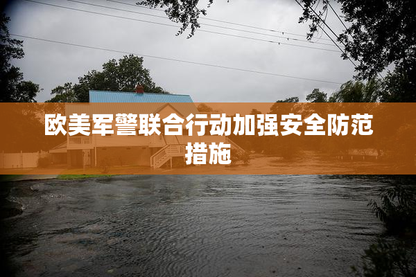 欧美军警联合行动加强安全防范措施