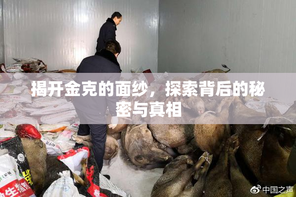 揭开金克的面纱，探索背后的秘密与真相