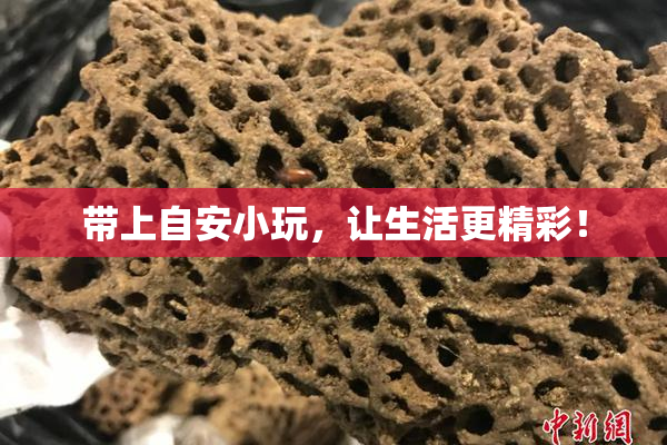 带上自安小玩，让生活更精彩！