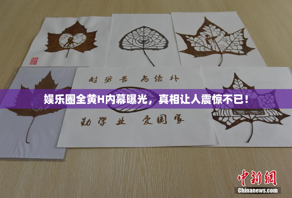 娱乐圈全黄H内幕曝光，真相让人震惊不已！
