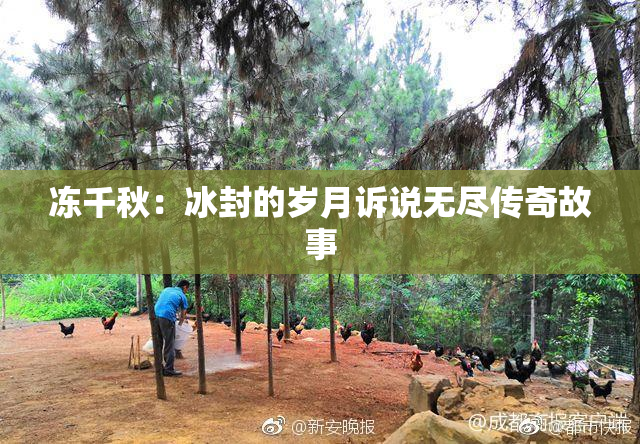 冻千秋：冰封的岁月诉说无尽传奇故事