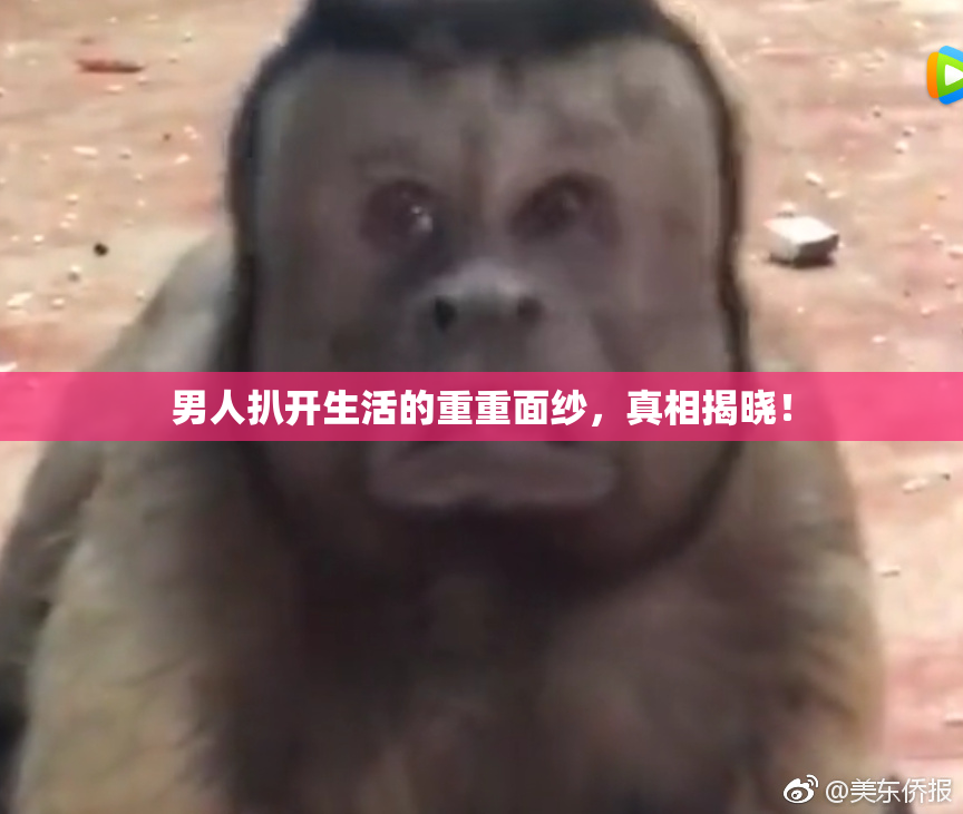 男人扒开生活的重重面纱，真相揭晓！
