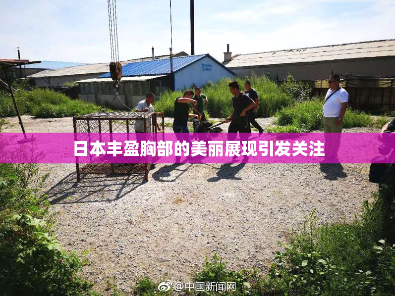日本丰盈胸部的美丽展现引发关注