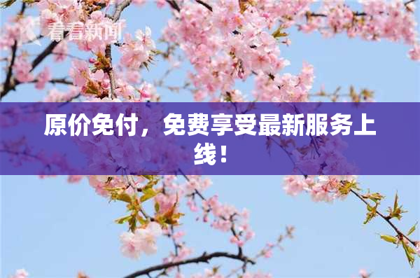 原价免付，免费享受最新服务上线！