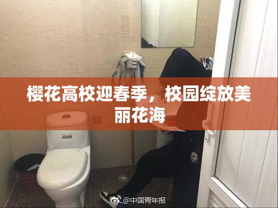 樱花高校迎春季，校园绽放美丽花海