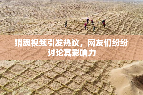销魂视频引发热议，网友们纷纷讨论其影响力
