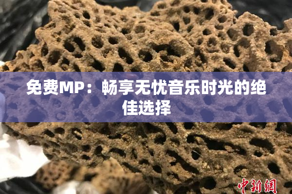 免费MP：畅享无忧音乐时光的绝佳选择