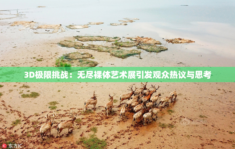 3D极限挑战：无尽裸体艺术展引发观众热议与思考