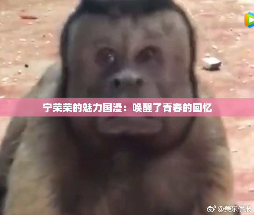宁荣荣的魅力国漫：唤醒了青春的回忆