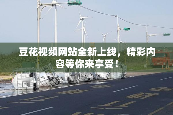 豆花视频网站全新上线，精彩内容等你来享受！