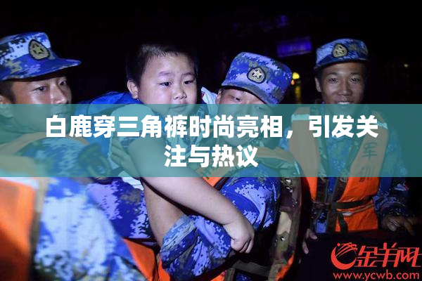 白鹿穿三角裤时尚亮相，引发关注与热议