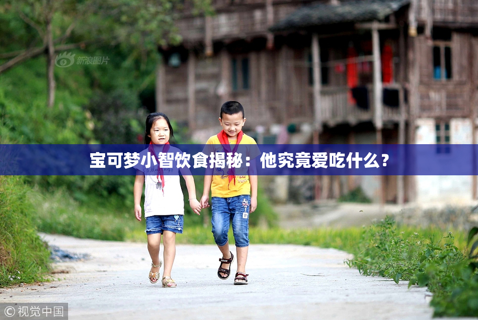 宝可梦小智饮食揭秘：他究竟爱吃什么？