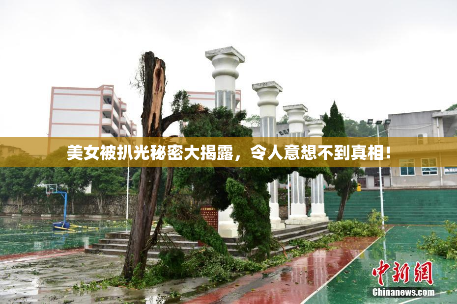 美女被扒光秘密大揭露，令人意想不到真相！