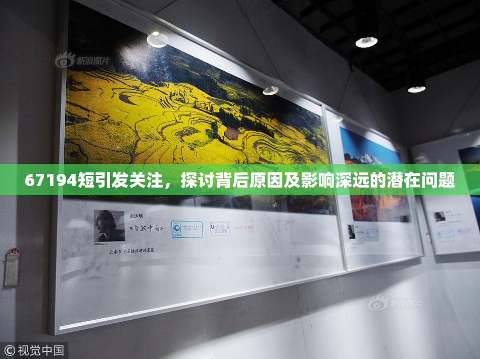 67194短引发关注，探讨背后原因及影响深远的潜在问题