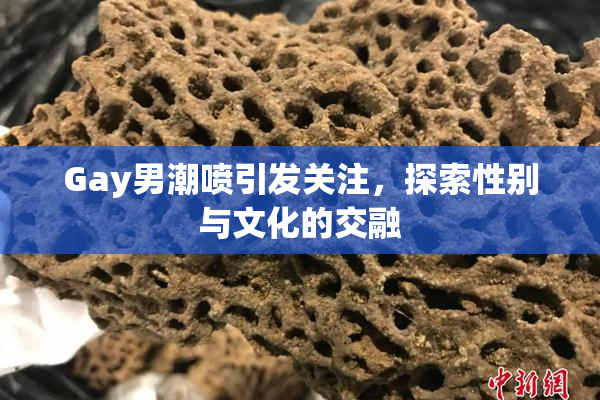 Gay男潮喷引发关注，探索性别与文化的交融