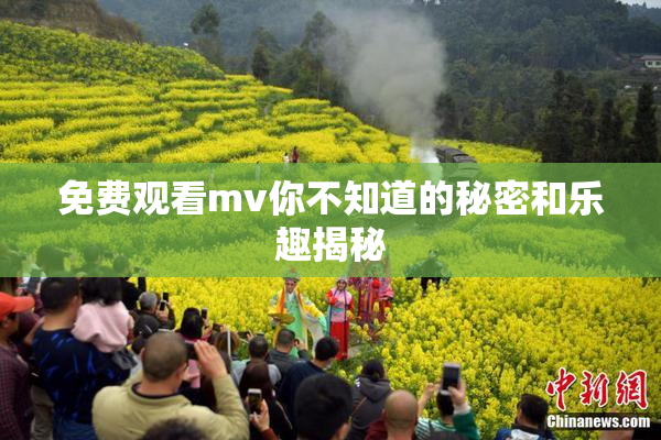 免费观看mv你不知道的秘密和乐趣揭秘