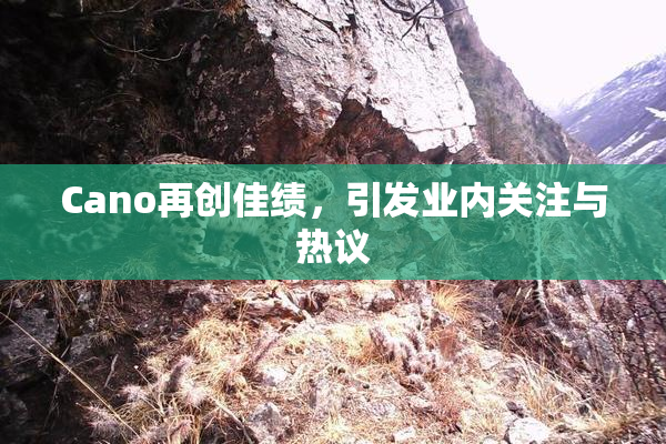 Cano再创佳绩，引发业内关注与热议