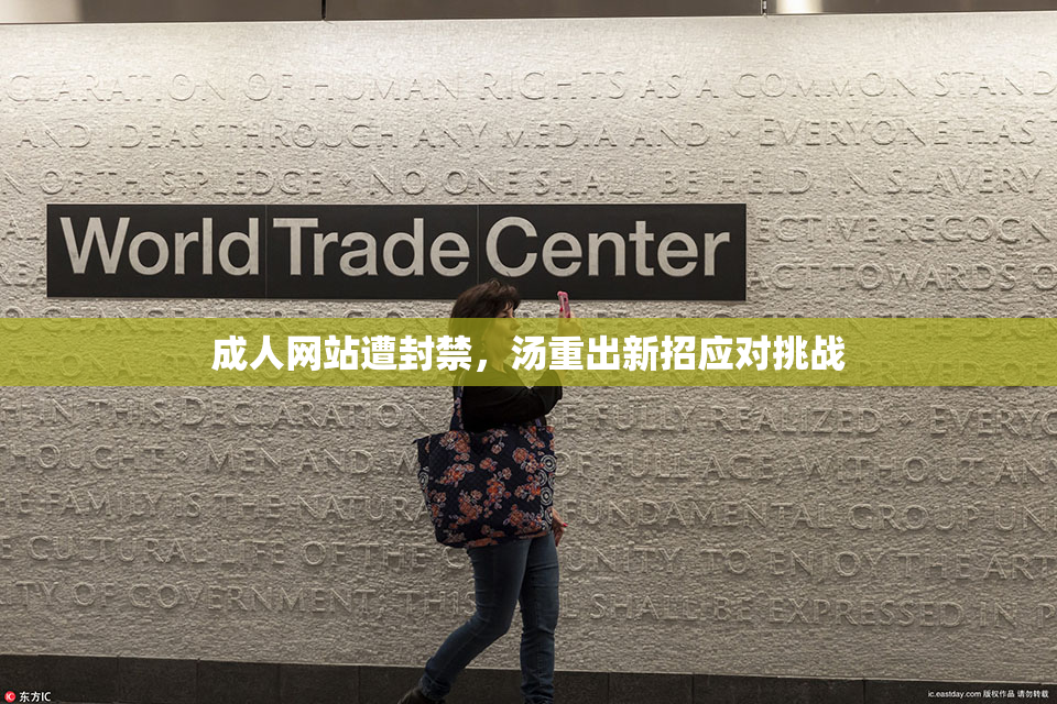 成人网站遭封禁，汤重出新招应对挑战