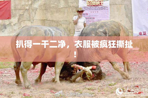 扒得一干二净，衣服被疯狂撕扯！